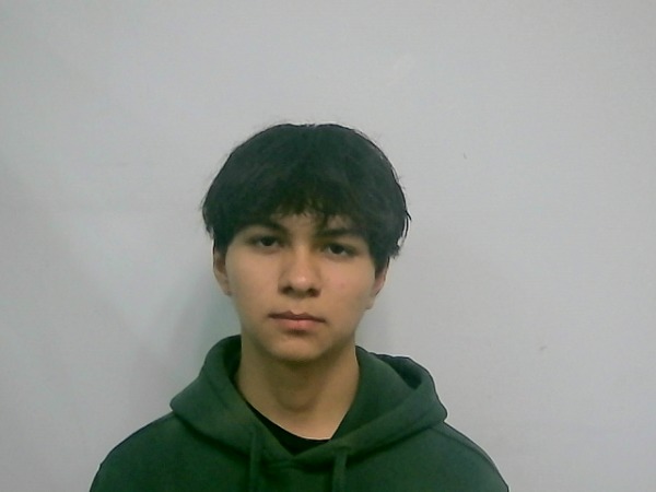 Avatar de Diego Mireles Acosta