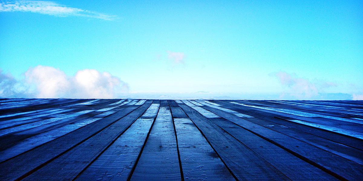 Hackaton On Linces 2026